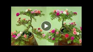 How to Make a Simple But Beautiful Desktop BonSai Ten Hour Flower