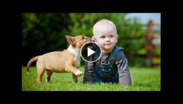 Puppies and Babies Playing Together Compilation