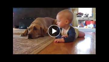 Cute Babies Crawling With Dogs Compilation