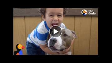 Pit Bull Dog is Boy's Best Friend & Nanny | The Dodo