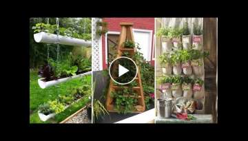 10 Small Backyard Vegetable Garden Ideas