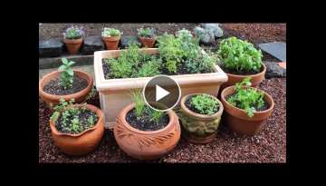 How to Plant a Culinary Herb Garden! DIY Kitchen Garden