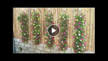 Beautiful DIY vertical hanging garden growing Portulaca (Mossrose) for small spaces