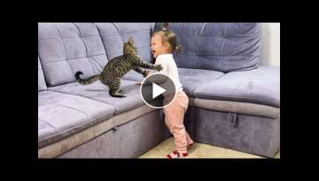 What Does a Kitten do When a Baby Dances Funny Video